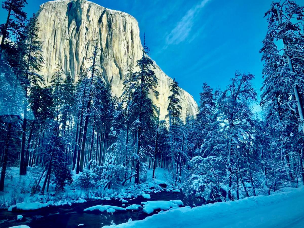 Yosemite Charm By Casa Oso With Spa And Breathtaking Views Mariposa Eksteriør billede
